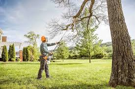 Best Hedge Trimming  in Burley, ID