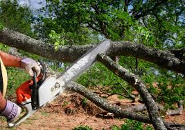 Best Firewood Processing and Delivery  in Burley, ID